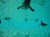 Filename=20120929_071.jpg
Filesize=127KiB
Dimensions=1024x768
Date added=Mar 24, 2013 20120929_071.jpg