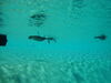 Filename=20120929_072.jpg
Filesize=115KiB
Dimensions=1024x768
Date added=Mar 24, 2013 20120929_072.jpg