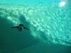 Filename=20120929_076.jpg
Filesize=113KiB
Dimensions=1024x768
Date added=Mar 24, 2013 20120929_076.jpg