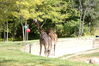 Filename=20120929_078.jpg
Filesize=296KiB
Dimensions=1023x685
Date added=Mar 24, 2013 20120929_078.jpg