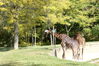 Filename=20120929_079.jpg
Filesize=298KiB
Dimensions=1023x685
Date added=Mar 24, 2013 20120929_079.jpg
