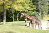 Filename=20120929_080.jpg
Filesize=300KiB
Dimensions=1023x685
Date added=Mar 24, 2013 20120929_080.jpg