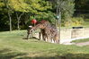 Filename=20120929_081.jpg
Filesize=291KiB
Dimensions=1023x685
Date added=Mar 24, 2013 20120929_081.jpg