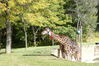 Filename=20120929_082.jpg
Filesize=301KiB
Dimensions=1023x685
Date added=Mar 24, 2013 20120929_082.jpg