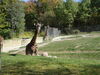 Filename=20120929_083.jpg
Filesize=287KiB
Dimensions=1024x768
Date added=Mar 24, 2013 20120929_083.jpg