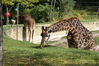 Filename=20120929_084.jpg
Filesize=267KiB
Dimensions=1023x685
Date added=Mar 24, 2013 20120929_084.jpg