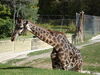 Filename=20120929_085.jpg
Filesize=258KiB
Dimensions=1024x768
Date added=Mar 24, 2013 20120929_085.jpg