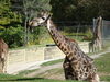 Filename=20120929_086.jpg
Filesize=247KiB
Dimensions=1024x768
Date added=Mar 24, 2013 20120929_086.jpg