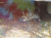Filename=20120929_087.jpg
Filesize=181KiB
Dimensions=1024x768
Date added=Mar 24, 2013 20120929_087.jpg