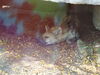 Filename=20120929_088.jpg
Filesize=181KiB
Dimensions=1024x768
Date added=Mar 24, 2013 20120929_088.jpg