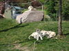 Filename=20120929_090.jpg
Filesize=288KiB
Dimensions=1024x768
Date added=Mar 24, 2013 20120929_090.jpg