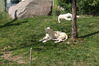 Filename=20120929_092.jpg
Filesize=303KiB
Dimensions=1023x685
Date added=Mar 24, 2013 20120929_092.jpg