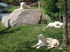 Filename=20120929_094.jpg
Filesize=276KiB
Dimensions=1024x768
Date added=Mar 24, 2013 20120929_094.jpg