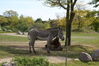 Filename=20120929_097.jpg
Filesize=256KiB
Dimensions=1023x685
Date added=Mar 24, 2013 20120929_097.jpg