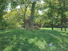 Filename=20120929_098.jpg
Filesize=261KiB
Dimensions=1024x768
Date added=Mar 24, 2013 20120929_098.jpg