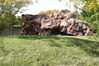 Filename=20120929_100.jpg
Filesize=282KiB
Dimensions=1023x685
Date added=Mar 24, 2013 20120929_100.jpg