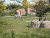 Filename=20120929_102.jpg
Filesize=288KiB
Dimensions=1024x768
Date added=Mar 24, 2013 20120929_102.jpg