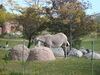 Filename=20120929_103.jpg
Filesize=277KiB
Dimensions=1024x768
Date added=Mar 24, 2013 20120929_103.jpg