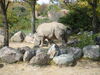 Filename=20120929_106.jpg
Filesize=233KiB
Dimensions=1024x768
Date added=Mar 24, 2013 20120929_106.jpg