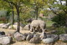 Filename=20120929_107.jpg
Filesize=281KiB
Dimensions=1023x685
Date added=Mar 24, 2013 20120929_107.jpg