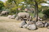 Filename=20120929_108.jpg
Filesize=279KiB
Dimensions=1023x685
Date added=Mar 24, 2013 20120929_108.jpg