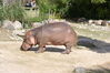 Filename=20120929_110.jpg
Filesize=227KiB
Dimensions=1023x685
Date added=Mar 24, 2013 20120929_110.jpg