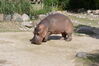 Filename=20120929_111.jpg
Filesize=225KiB
Dimensions=1023x685
Date added=Mar 24, 2013 20120929_111.jpg