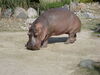 Filename=20120929_112.jpg
Filesize=184KiB
Dimensions=1024x768
Date added=Mar 24, 2013 20120929_112.jpg