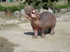 Filename=20120929_113.jpg
Filesize=187KiB
Dimensions=1024x768
Date added=Mar 24, 2013 20120929_113.jpg