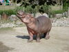 Filename=20120929_114.jpg
Filesize=192KiB
Dimensions=1024x768
Date added=Mar 24, 2013 20120929_114.jpg