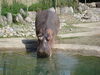 Filename=20120929_115.jpg
Filesize=209KiB
Dimensions=1024x768
Date added=Mar 24, 2013 20120929_115.jpg