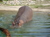 Filename=20120929_116.jpg
Filesize=174KiB
Dimensions=1024x768
Date added=Mar 24, 2013 20120929_116.jpg