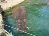 Filename=20120929_117.jpg
Filesize=186KiB
Dimensions=1024x768
Date added=Mar 24, 2013 20120929_117.jpg