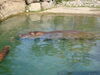 Filename=20120929_118.jpg
Filesize=173KiB
Dimensions=1024x768
Date added=Mar 24, 2013 20120929_118.jpg
