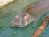 Filename=20120929_119.jpg
Filesize=175KiB
Dimensions=1024x768
Date added=Mar 24, 2013 20120929_119.jpg