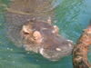 Filename=20120929_120.jpg
Filesize=165KiB
Dimensions=1024x768
Date added=Mar 24, 2013 20120929_120.jpg