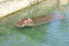 Filename=20120929_121.jpg
Filesize=194KiB
Dimensions=1023x685
Date added=Mar 24, 2013 20120929_121.jpg