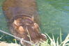 Filename=20120929_122.jpg
Filesize=191KiB
Dimensions=1023x685
Date added=Mar 24, 2013 20120929_122.jpg