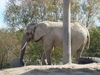 Filename=20120929_123.jpg
Filesize=252KiB
Dimensions=1024x768
Date added=Mar 24, 2013 20120929_123.jpg