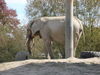 Filename=20120929_124.jpg
Filesize=233KiB
Dimensions=1024x768
Date added=Mar 24, 2013 20120929_124.jpg