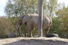 Filename=20120929_125.jpg
Filesize=290KiB
Dimensions=1023x685
Date added=Mar 24, 2013 20120929_125.jpg