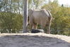 Filename=20120929_126.jpg
Filesize=279KiB
Dimensions=1023x685
Date added=Mar 24, 2013 20120929_126.jpg