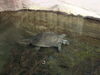 Filename=20120929_127.jpg
Filesize=147KiB
Dimensions=1024x768
Date added=Mar 24, 2013 20120929_127.jpg