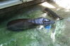 Filename=20120929_128.jpg
Filesize=190KiB
Dimensions=1023x685
Date added=Mar 24, 2013 20120929_128.jpg
