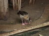 Filename=20120929_129.jpg
Filesize=141KiB
Dimensions=1024x768
Date added=Mar 24, 2013 20120929_129.jpg