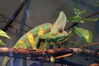 Filename=20120929_132.jpg
Filesize=146KiB
Dimensions=1023x685
Date added=Mar 24, 2013 20120929_132.jpg