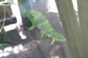 Filename=20120929_133.jpg
Filesize=119KiB
Dimensions=1023x685
Date added=Mar 24, 2013 20120929_133.jpg
