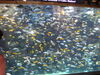 Filename=20120929_134.jpg
Filesize=207KiB
Dimensions=1024x768
Date added=Mar 24, 2013 20120929_134.jpg