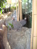 Filename=20120929_139.jpg
Filesize=162KiB
Dimensions=768x1024
Date added=Mar 24, 2013 20120929_139.jpg