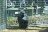 Filename=20120929_140.jpg
Filesize=282KiB
Dimensions=1023x685
Date added=Mar 24, 2013 20120929_140.jpg